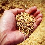 Παγκόσμια Τράπεζα: Εκτίναξη τιμών πρώτων υλών λόγω πολέμου στο Ιράν