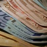 Καταβολή 5 εκ ευρώ ως προκαταβολή για ζημίες στο φυτικό κεφάλαιο από τις πυρκαγιές του 2024