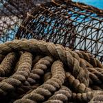 Antarctic Coalition Objects to MSC Certification of Antarctic Krill Fishery