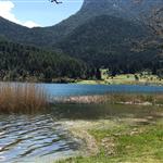 Ευρωπαϊκή έγκριση σε γερμανικό πρόγραμμα 1,3 δισ. ευρώ για την αποκατάσταση τυρφώνων και την προστασία του κλίματος