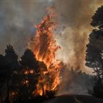 Κρατική αρωγή για τις επιχειρήσεις που πλήγηκαν από την πυρκαγιά στη Σίβηρη Κασσάνδρας