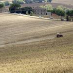 Κόκκαλης: Άμεση παράταση στη διαδικασία διορθώσεων ΟΣΔΕ 2025 ζητούν οι φορείς αγροτικής συμβουλευτικής