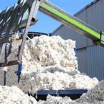 Επιστροφή των hedge funds στο βαμβάκι εν μέσω ανόδου των τιμών