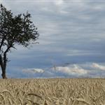 Ημερίδα για την Αειφόρο Ανάπτυξη στη γεωργία και το περιβάλλον