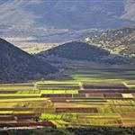 Κομισιόν: Έγκριση άνω των 56 εκατ. ευρώ από το γεωργικό αποθεματικό για αποζημιώσεις αγροτών