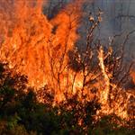 Βόρεια Αμερική: Δύο διαφορετικές στρατηγικές απέναντι στην απειλή των μεγάλων πυρκαγιών