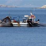Αλιεία: Ξεκινούν οι αιτήσεις για χρηματοδότηση επενδύσεων χωρίς αύξηση της αλιευτικής ικανότητας