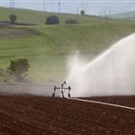 Κραυγή αγωνίας από τους αγρότες: Αίτημα για άμεση παράταση στο πρόγραμμα νιτρορύπανσης