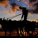 Τα λεφτά της ΚΑΠ στους αγρότες- τέλος στα παιχνίδια με τους κοινοτικούς πόρους