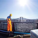 Οι ευρωβουλευτές της Αλιείας πιέζουν για πρόοδο στην απαλλαγή του στόλου της ΕΕ από τις ανθρακούχες εκπομπές