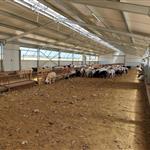 Νέες πληρωμές 3,6 εκατ. ευρώ για αποζημιώσεις ευλογιάς