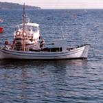 Νέα χρηματοδοτική δράση για τον εκσυγχρονισμό αλιευτικών σκαφών