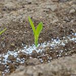 ΕΕ: Πράσινο φως στα λιπάσματα RENURE