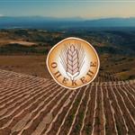 ΟΠΕΚΕΠΕ: «Πλήρης συνεργασία με την EPPO – Διαψεύδουμε την έλλειψη ειλικρινούς συνεργασίας»