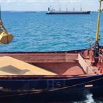 Ανθεκτική προς το παρόν η παγκόσμια αγορά σιτηρών εν μέσω της σύγκρουσης με το Ιράν