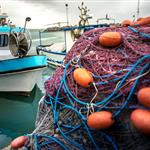 «Ανάσα» για τους αλιείς: Επιδότηση 40 λεπτά στο πετρέλαιο και 15 εκατ. ευρώ για ζημιές στα δίχτυα