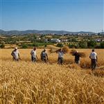 Μουλκιώτης: 300.000 αγρότες και μικρομεσαίοι σε αδιέξοδο με ευθύνη της Κυβέρνησης Μητσοτάκη