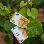 Πώς ο FAO «ξεκλειδώνει» κεφάλαια για την αγροδιατροφή