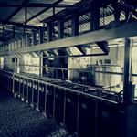 Ήπειρο:Το πρώτο κρούσμα ευλογιάς προβάτων θέτει σε συναγερμό την κτηνοτροφία