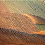 Η Συμφωνία Ελευθέρων Συναλλαγών ΕΕ-Αυστραλίας νέα ταφόπλακα για τους αγρότες