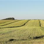 Συνάντηση της ΕΟΑΣΝΛ με την ηγεσία του Υπουργείου Αγροτικής Ανάπτυξης