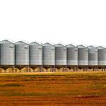 Νέα επένδυση σε υποδομές σιτηρών στην Αίγυπτο με στήριξη ΕΕ