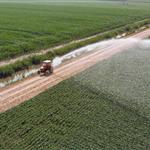 ΕΑΕ 2025: Ξανά ανοικτό το σύστημα για διορθώσεις και Agrisnap