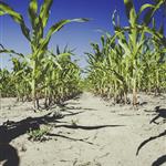 ΣΥΡΙΖΑ-ΠΣ: Όχι στο σκοτάδι για τους καταναλωτές