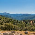 Ισπανία: Οι βροχές επαναφορτίζουν τα δάση και τους υδροφόρους ορίζοντες μετά από τρία χρόνια ξηρασίας