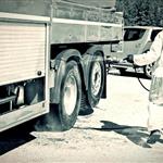 Θεσσαλία: Υποχρεωτική απολύμανση οχημάτων μεταφοράς ζώων και τροφίμων