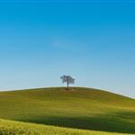 Η «κατηφόρα» του πρωτογενούς τομέα στην Ελλάδα και  με τη «βούλα»  της Ευρωπαϊκής Επιτροπής στα χρόνια της διακυβέρνησης Μητσοτάκη