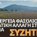 Καλλιέργεια φασολιού και κλιματική αλλαγή στην Πρέσπα