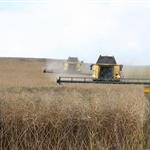 Ρώσοι αγρότες ζητούν κατάργηση των δασμών στις εξαγωγές σιτηρών