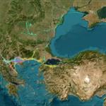 Follow the pelican - Νέα εφαρμογή από την Εταιρία Προστασίας Πρεσπών