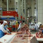 Επικαιροποίηση Οδηγού HACCP για τα Σφαγεία Οπληφόρων