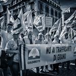 Ιταλία: Οι αγρότες στέλνουν μήνυμα στη Ρώμη για σιτάρι και ελαιόλαδο