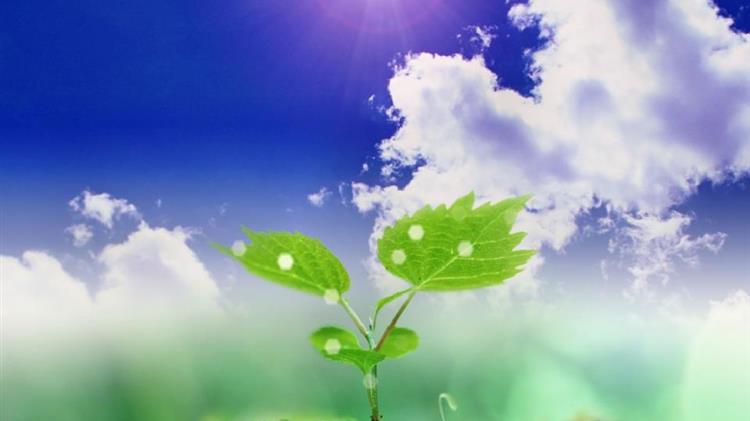 Κίνδυνος οικολογικής καταστροφής στον Αμβρακικό