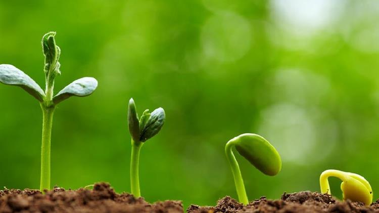 Πανελλήνια Συνάντηση Φυτοπροστασίας 