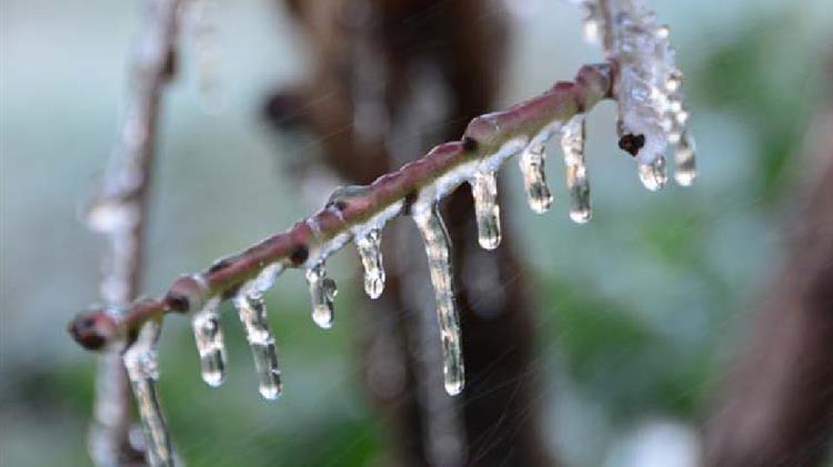 Σοβαρές ζημιές σε καλλιέργειες