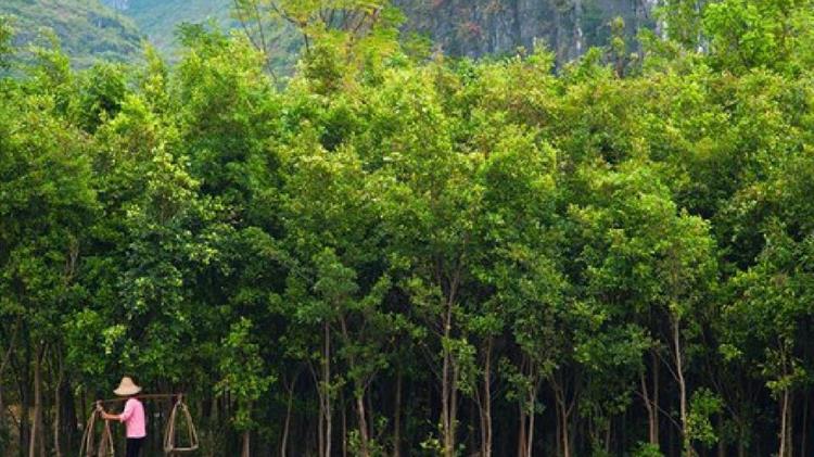 Μάξιμος προς Αποστόλου: “Τρέξτε” επιτέλους τις διαδικασίες για να πληρωθεί ο κόσμος! 