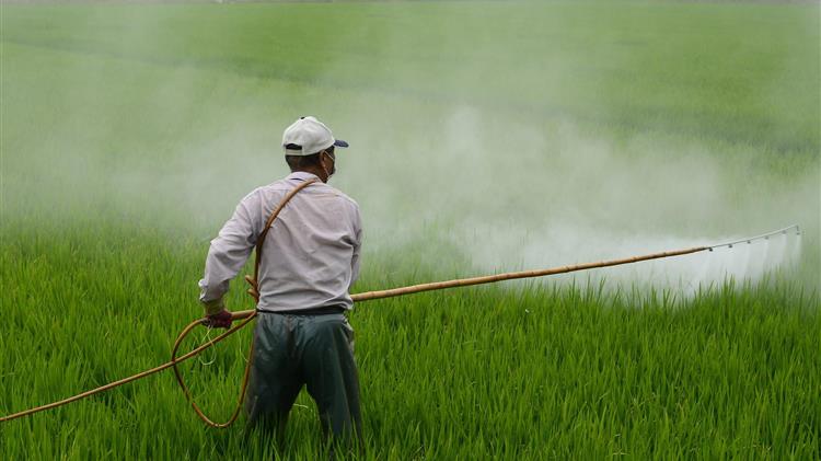 Β. Αποστόλου: «Η αλήθεια για το glyphosate»