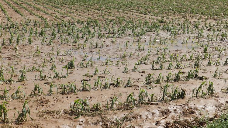 Άμεση ήταν η ανταπόκριση του ΕΛΓΑ στην Δ. Ελλάδα