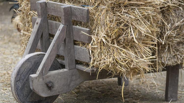  Θα επιστραφούν 444 εκατ. ευρώ στους Ευρωπαίους αγρότες  