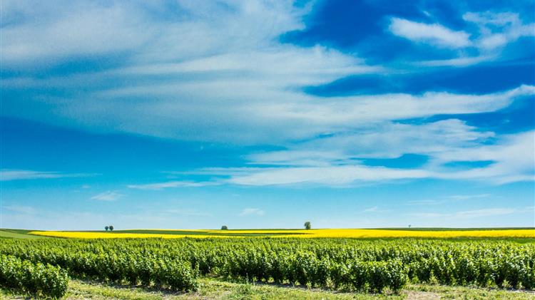    Οικονομική ανάπτυξη με οικολογικό πρόσημο