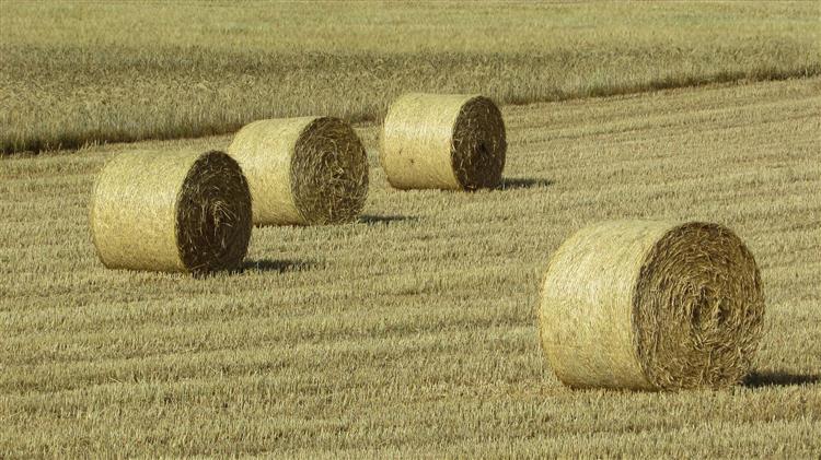 Τροποποίηση ημερομηνιών παραστατικών για το Μέτρο 11 "Βιολογικές Καλλιέργειες"