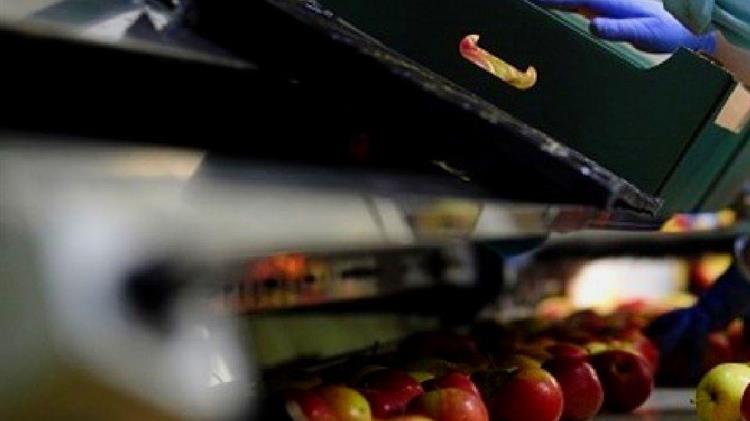 Πρόστιμο επέβαλε αρμόδια υπηρεσία του Υπουργείου Αγροτικής Ανάπτυξης  σε χονδρέμπορο 