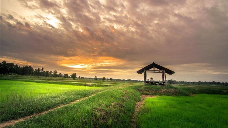 Πώς η γεωργική βιομηχανία καταπολεμά την κλιματική αλλαγή
