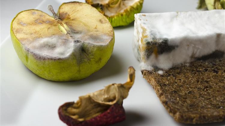 Τι θα σου συμβεί αν φας τρόφιμα που έχουν πιάσει μούχλα;