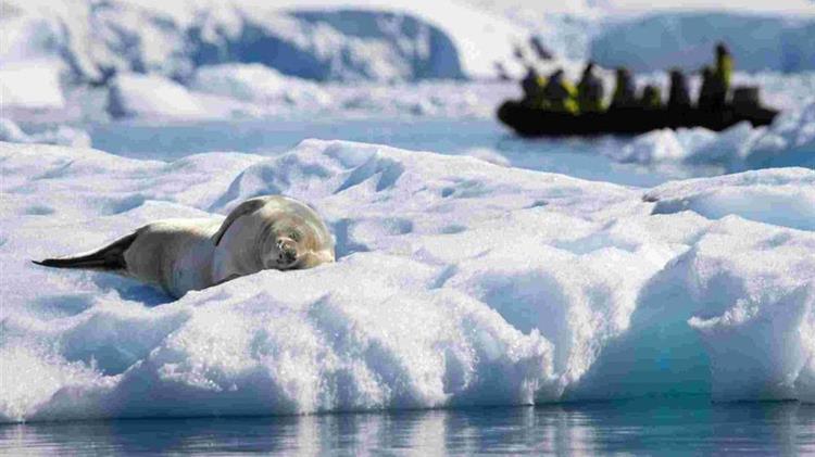 Οι επιστήμονες προειδοποιούν για πυρκαγιές «ζόμπι» στην Αρκτική