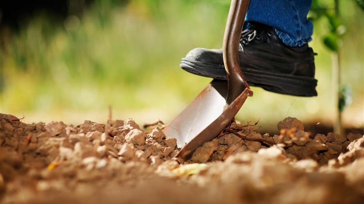 Αποτυχία της κυβέρνησης στην εφαρμογή της ΚΑΠ – Αγρότες στο σκοτάδι λόγω έλλειψης ενημέρωσης